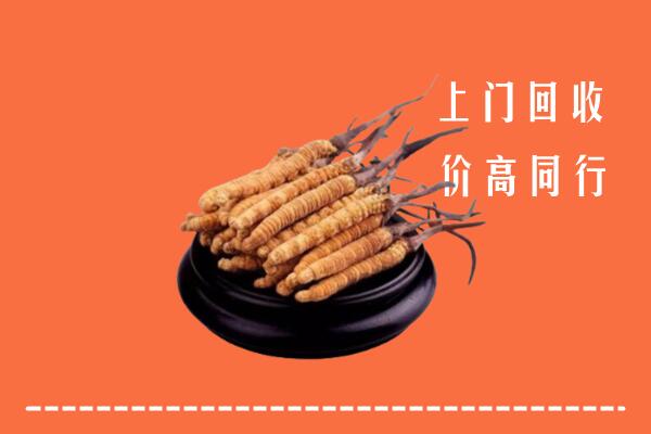高价求购：老边区回收散虫草